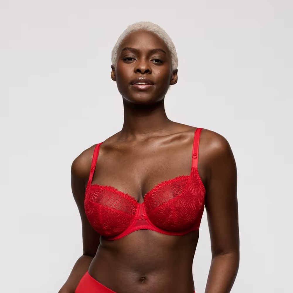 Elegant Red Lace Bra